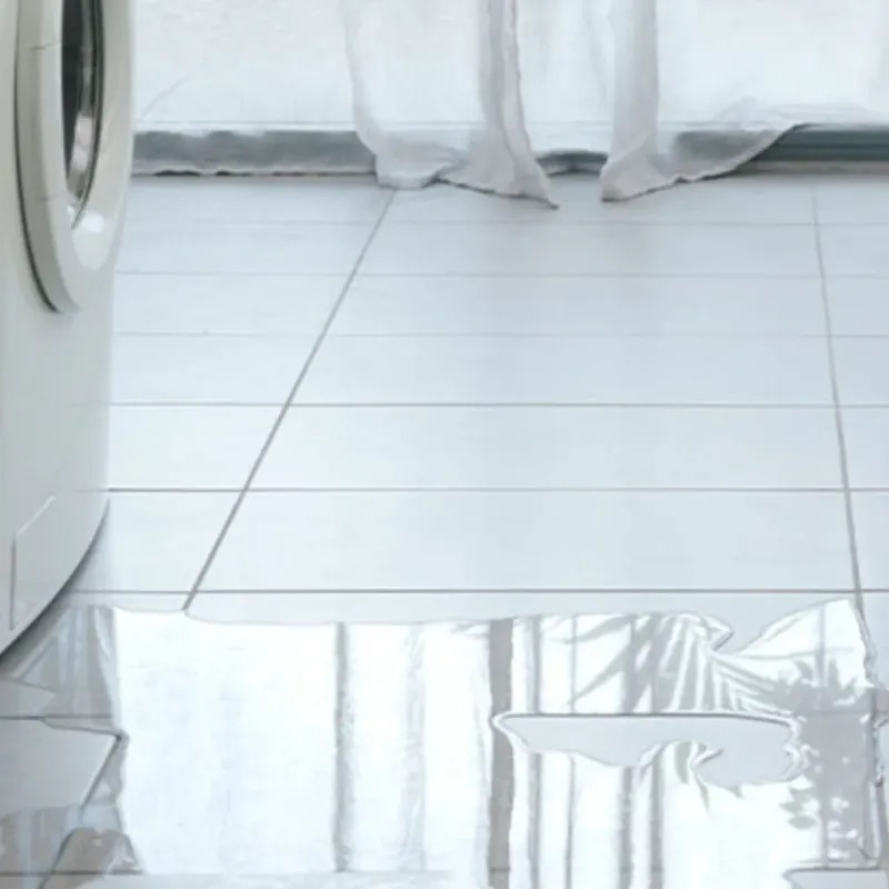 Appliance Leak Cleanup in Greene, NY
