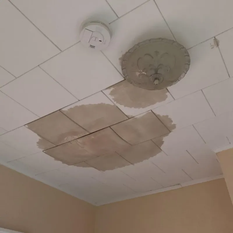 Ceiling Water Damage Repair in Greene, NY
